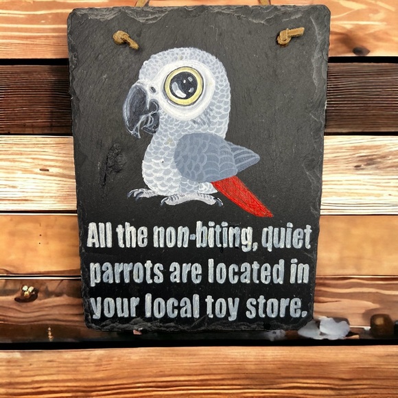 Red Tail Art Other - Artisan Made Cute African Grey Cartoon Plaque on Grey Slate